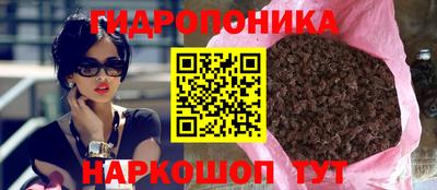 твердый Камень-на-Оби
