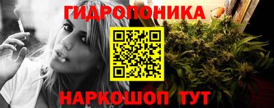 твердый Камень-на-Оби