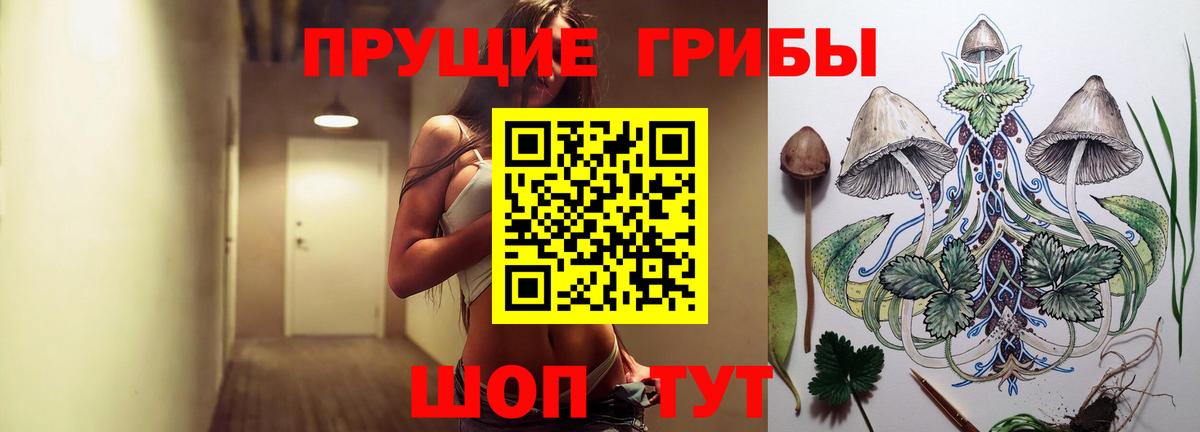 цены   Псилоцибиновые грибы прущие грибы  Вход с VPN  Жигулёвск 